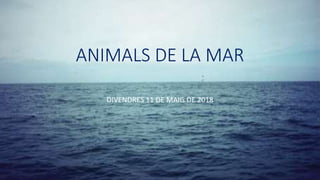 ANIMALS DE LA MAR
DIVENDRES 11 DE MAIG DE 2018
 