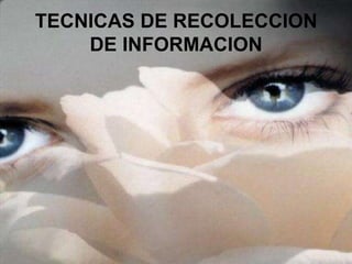 TECNICAS DE RECOLECCION
    DE INFORMACION
 