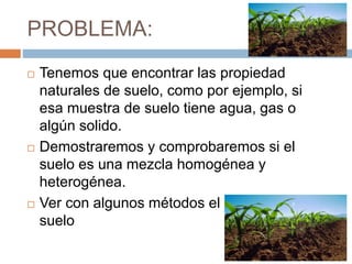 PROBLEMA:
 Tenemos que encontrar las propiedad
naturales de suelo, como por ejemplo, si
esa muestra de suelo tiene agua, gas o
algún solido.
 Demostraremos y comprobaremos si el
suelo es una mezcla homogénea y
heterogénea.
 Ver con algunos métodos el contenido del
suelo
 