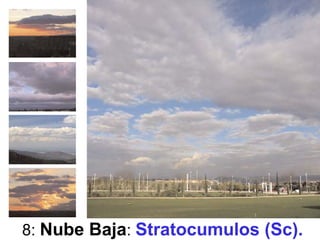 8: Nube Baja: Stratocumulos (Sc).
 