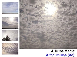4. Nube Media:
Altocumulos (Ac).
 