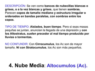 4. Nube Media: Altocumulos (Ac).
DESCRIPCIÓN: Se ven como bancos de nubecillas blancas o
grises, o a la vez blancas y grises, que tienen sombras.
Parecen copos de tamaño mediano y estructura irregular o
ordenados en bandas paralelas, con sombras entre los
copos.
TIPO DE TIEMPO: Aislados, buen tiempo. Pero si esas masas
pequñas se juntan, anuncian la llegada de una depresión y con
los Altostratus, suelen preceder al mal tiempo producido por
lluvias o tormentas.
NO CONFUNDIR: Con Cirrocumulus, los Ac son de mayor
tamaño. Ni con Stratocumulus, los Ac son más pequeños.
 