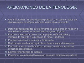 APLICACIONES DE LA FENOLOGIAAPLICACIONES DE LA FENOLOGIA
 APLICACIONES. Es de aplicación práctica. Con base en datos deAPLICACIONES. Es de aplicación práctica. Con base en datos de
observaciones fenológicas durante varios años es posible:observaciones fenológicas durante varios años es posible:
a)a) Definir las regularidades de crecimiento de una planta en relación aDefinir las regularidades de crecimiento de una planta en relación a
su medio así como sus requerimientos agroecológicos.su medio así como sus requerimientos agroecológicos.
b)b) Proponer calendarios de control de plagas, enfermedades yProponer calendarios de control de plagas, enfermedades y
malezas de acuerdo a las épocas de mayor incidencia.malezas de acuerdo a las épocas de mayor incidencia.
c)c) Proponer calendarios de riego y fertilización.Proponer calendarios de riego y fertilización.
d)d) Realizar una zonificación agrícola en base a mapas fenológicos.Realizar una zonificación agrícola en base a mapas fenológicos.
e)e) Pronosticar fechas de floración a madurez y elaborar fechas dePronosticar fechas de floración a madurez y elaborar fechas de
cosechas escalonadas.cosechas escalonadas.
f)f) Estimar rendimientos de cultivos.Estimar rendimientos de cultivos.
g)g) Programar la asistencia técnica con base a la fenología de cultivosProgramar la asistencia técnica con base a la fenología de cultivos
 