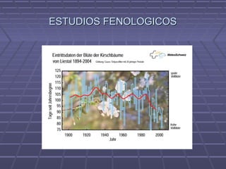 ESTUDIOS FENOLOGICOSESTUDIOS FENOLOGICOS
 