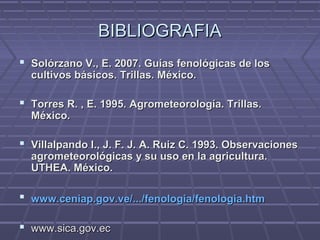 BIBLIOGRAFIABIBLIOGRAFIA
 Solórzano V., E. 2007. Guías fenológicas de losSolórzano V., E. 2007. Guías fenológicas de los
cultivos básicos. Trillas. México.cultivos básicos. Trillas. México.
 Torres R. , E. 1995. Agrometeorología. Trillas.Torres R. , E. 1995. Agrometeorología. Trillas.
México.México.
 Villalpando I., J. F. J. A. Ruiz C. 1993. ObservacionesVillalpando I., J. F. J. A. Ruiz C. 1993. Observaciones
agrometeorológicas y su uso en la agricultura.agrometeorológicas y su uso en la agricultura.
UTHEA. México.UTHEA. México.
 www.ceniap.gov.ve/.../fenologia/fenologia.htmwww.ceniap.gov.ve/.../fenologia/fenologia.htm
 www.sica.gov.ecwww.sica.gov.ec
 