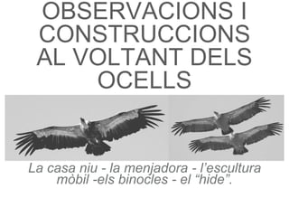 OBSERVACIONS I
CONSTRUCCIONS
AL VOLTANT DELS
OCELLS
La casa niu - la menjadora - l’escultura
mòbil -els binocles - el “hide”.
 