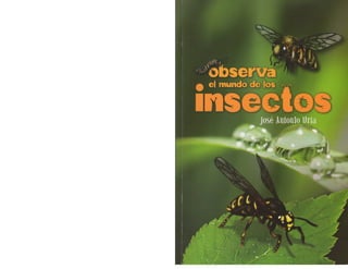 Observa el mundo de los insectos - Jose Antonio Uría
