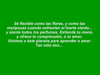 Sé flexible como las flores, y como las  mariposas cuando enfrentan el fuerte viento...  y siente todos los perfumes. Extiende tu mano,  y ofrece tu comprensión, o tu amor.  Vinimos a éste planeta para aprender a amar.  Tan sólo éso...  