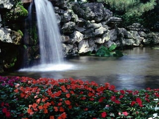 Frente a cualquier problema que te parezca sin solución, asume una actitud inteligente, a tu favor: Respira... 