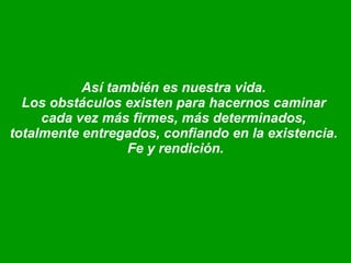 Así también es nuestra vida.  Los obstáculos existen para hacernos caminar  cada vez más firmes, más determinados,  totalmente entregados, confiando en la existencia.  Fe y rendición. 