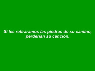 Si les retiraramos las piedras de su camino, perderían su canción. 