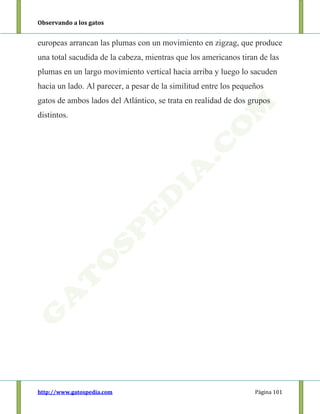 Observando a los gatos
http://www.gatospedia.com Página 101
europeas arrancan las plumas con un movimiento en zigzag, que produce
una total sacudida de la cabeza, mientras que los americanos tiran de las
plumas en un largo movimiento vertical hacia arriba y luego lo sacuden
hacia un lado. Al parecer, a pesar de la similitud entre los pequeños
gatos de ambos lados del Atlántico, se trata en realidad de dos grupos
distintos.
 
