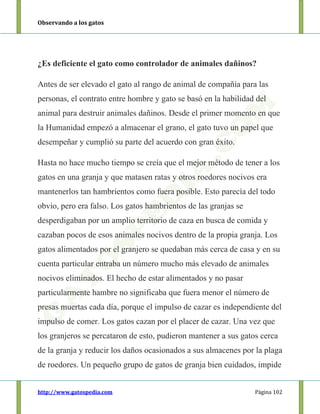 Observando a los gatos
http://www.gatospedia.com Página 102
¿Es deficiente el gato como controlador de animales dañinos?
Antes de ser elevado el gato al rango de animal de compañía para las
personas, el contrato entre hombre y gato se basó en la habilidad del
animal para destruir animales dañinos. Desde el primer momento en que
la Humanidad empezó a almacenar el grano, el gato tuvo un papel que
desempeñar y cumplió su parte del acuerdo con gran éxito.
Hasta no hace mucho tiempo se creía que el mejor método de tener a los
gatos en una granja y que matasen ratas y otros roedores nocivos era
mantenerlos tan hambrientos como fuera posible. Esto parecía del todo
obvio, pero era falso. Los gatos hambrientos de las granjas se
desperdigaban por un amplio territorio de caza en busca de comida y
cazaban pocos de esos animales nocivos dentro de la propia granja. Los
gatos alimentados por el granjero se quedaban más cerca de casa y en su
cuenta particular entraba un número mucho más elevado de animales
nocivos eliminados. El hecho de estar alimentados y no pasar
particularmente hambre no significaba que fuera menor el número de
presas muertas cada día, porque el impulso de cazar es independiente del
impulso de comer. Los gatos cazan por el placer de cazar. Una vez que
los granjeros se percataron de esto, pudieron mantener a sus gatos cerca
de la granja y reducir los daños ocasionados a sus almacenes por la plaga
de roedores. Un pequeño grupo de gatos de granja bien cuidados, impide
 