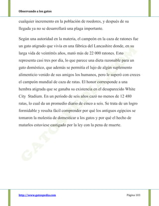 Observando a los gatos
http://www.gatospedia.com Página 103
cualquier incremento en la población de roedores, y después de su
llegada ya no se desarrollará una plaga importante.
Según una autoridad en la materia, el campeón en la caza de ratones fue
un gato atigrado que vivía en una fábrica del Lancashire donde, en su
larga vida de veintitrés años, mató más de 22 000 ratones. Esto
representa casi tres por día, lo que parece una dieta razonable para un
gato doméstico, que además se permitía el lujo de algún suplemento
alimenticio venido de sus amigos los humanos, pero le superó con creces
el campeón mundial de caza de ratas. El honor corresponde a una
hembra atigrada que se ganaba su existencia en el desaparecido White
City Stadium. En un período de seis años cazó no menos de 12 480
ratas, lo cual da un promedio diario de cinco a seis. Se trata de un logro
formidable y resulta fácil comprender por qué los antiguos egipcios se
tomaron la molestia de domesticar a los gatos y por qué el hecho de
matarlos estuviese castigado por la ley con la pena de muerte.
 
