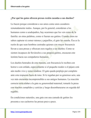 Observando a los gatos
http://www.gatospedia.com Página 104
¿Por qué los gatos ofrecen presas recién cazadas a sus dueños?
Lo hacen porque consideran a sus amos como unos cazadores
rematadamente malos. Aunque, por lo general, consideran a los
humanos como a seudopadres, hay ocasiones que los ven como de la
familia: en otras palabras, como si fueran sus gatitos. Cuando éstos no
saben capturar ni comer ratones y pajarillos, el gato les enseña. Ésa es la
razón de que sean hembras castradas quienes con mayor frecuencia
llevan a casa presas y ofrezcan esos regalos a sus dueños. Como se
sienten incapaces de llevárselos a sus propios gatitos, encauzan este
instinto hacia sus compañeros humanos.
Los dueños honrados de esta manera, con frecuencia lo reciben con
horror o con enfado, especialmente si el pequeño roedor o el pájaro está
aún medio vivo y removiéndose. El gato queda perplejo por completo
ante esta respuesta fuera de tono. Si le regañan por su generoso acto, una
vez más encuentra incomprensibles a sus amigos humanos. La reacción
correcta sería alabar a la gata su generosidad maternal, tomarle la presa
con muchos cumplidos y caricias y luego desembarazarse en seguida del
regalito.
En condiciones naturales, una gata con una camada de gatitos les
presenta a sus cachorros las presas poco a poco.
 
