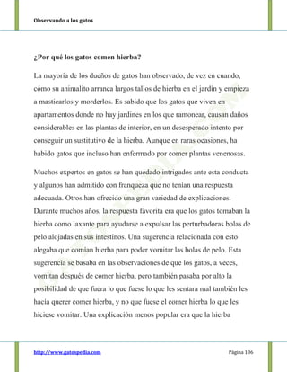 Observando a los gatos
http://www.gatospedia.com Página 106
¿Por qué los gatos comen hierba?
La mayoría de los dueños de gatos han observado, de vez en cuando,
cómo su animalito arranca largos tallos de hierba en el jardín y empieza
a masticarlos y morderlos. Es sabido que los gatos que viven en
apartamentos donde no hay jardines en los que ramonear, causan daños
considerables en las plantas de interior, en un desesperado intento por
conseguir un sustitutivo de la hierba. Aunque en raras ocasiones, ha
habido gatos que incluso han enfermado por comer plantas venenosas.
Muchos expertos en gatos se han quedado intrigados ante esta conducta
y algunos han admitido con franqueza que no tenían una respuesta
adecuada. Otros han ofrecido una gran variedad de explicaciones.
Durante muchos años, la respuesta favorita era que los gatos tomaban la
hierba como laxante para ayudarse a expulsar las perturbadoras bolas de
pelo alojadas en sus intestinos. Una sugerencia relacionada con esto
alegaba que comían hierba para poder vomitar las bolas de pelo. Esta
sugerencia se basaba en las observaciones de que los gatos, a veces,
vomitan después de comer hierba, pero también pasaba por alto la
posibilidad de que fuera lo que fuese lo que les sentara mal también les
hacía querer comer hierba, y no que fuese el comer hierba lo que les
hiciese vomitar. Una explicación menos popular era que la hierba
 