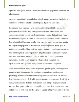 Observando a los gatos
http://www.gatospedia.com Página 107
ayudaba a los gatos en caso de inflamaciones de garganta o irritación en
el estómago.
Algunas autoridades sospechaban, simplemente, que esta actividad era
como una forma de añadir alimento poco digerible a su dieta.
La opinión más reciente - y la explicación más probable - es que los
gatos mastican hierba para conseguir cantidades mínimas de una
sustancia química que no pueden conseguir en una dieta cárnica y que
resulta esencial para su salud. La sustancia en cuestión es una vitamina
llamada ácido fólico, que resulta vital para los gatos porque desempeña
un importante papel en la producción de hemoglobina. Si un gato es
deficiente en ácido fólico sufre en su crecimiento y puede convertirse en
una anemia grave. Los propietarios de gatos cuyos animales no tienen
acceso a hierbas de ninguna clase, a veces resuelven el problema
sembrando hierba en un macetero y haciéndola crecer en sus
apartamentos para que la mastiquen sus animales de compañía.
Será bueno señalar, aunque sea de pasada, que los gatos, si bien pueden
necesitar este suplemento de vegetales en sus dietas cárnicas, son
primero y primordialmente carnívoros y como tales deben ser tratados.
Los intentos recientes de los bienintencionados vegetarianos de dirigir a
sus gatos hacia una dieta no cárnica son a un tiempo poco juiciosos y
crueles. Los gatos enferman con rapidez con una dieta vegetariana y no
sobreviven si ésta dura mucho tiempo. La reciente publicación de dietas
 