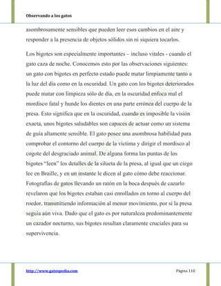 Observando a los gatos
http://www.gatospedia.com Página 110
asombrosamente sensibles que pueden leer esos cambios en el aire y
responder a la presencia de objetos sólidos sin ni siquiera tocarlos.
Los bigotes son especialmente importantes – incluso vitales - cuando el
gato caza de noche. Conocemos esto por las observaciones siguientes:
un gato con bigotes en perfecto estado puede matar limpiamente tanto a
la luz del día como en la oscuridad. Un gato con los bigotes deteriorados
puede matar con limpieza sólo de día, en la oscuridad enfoca mal el
mordisco fatal y hunde los dientes en una parte errónea del cuerpo de la
presa. Esto significa que en la oscuridad, cuando es imposible la visión
exacta, unos bigotes saludables son capaces de actuar como un sistema
de guía altamente sensible. El gato posee una asombrosa habilidad para
comprobar el contorno del cuerpo de la víctima y dirigir el mordisco al
cogote del desgraciado animal. De alguna forma las puntas de los
bigotes “leen” los detalles de la silueta de la presa, al igual que un ciego
lee en Braille, y en un instante le dicen al gato cómo debe reaccionar.
Fotografías de gatos llevando un ratón en la boca después de cazarlo
revelaron que los bigotes estaban casi enrollados en torno al cuerpo del
roedor, transmitiendo información al menor movimiento, por si la presa
seguía aún viva. Dado que el gato es por naturaleza predominantemente
un cazador nocturno, sus bigotes resultan claramente cruciales para su
supervivencia.
 
