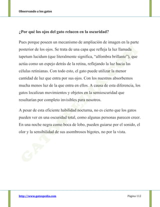 Observando a los gatos
http://www.gatospedia.com Página 112
¿Por qué los ojos del gato relucen en la oscuridad?
Pues porque poseen un mecanismo de ampliación de imagen en la parte
posterior de los ojos. Se trata de una capa que refleja la luz llamada
tapetum lucidum (que literalmente significa, “alfombra brillante”), que
actúa como un espejo detrás de la retina, reflejando la luz hacia las
células retinianas. Con todo esto, el gato puede utilizar la menor
cantidad de luz que entra por sus ojos. Con los nuestros absorbemos
mucha menos luz de la que entra en ellos. A causa de esta diferencia, los
gatos localizan movimientos y objetos en la semioscuridad que
resultarían por completo invisibles para nosotros.
A pesar de esta eficiente habilidad nocturna, no es cierto que los gatos
pueden ver en una oscuridad total, como algunas personas parecen creer.
En una noche negra como boca de lobo, pueden guiarse por el sonido, el
olor y la sensibilidad de sus asombrosos bigotes, no por la vista.
 