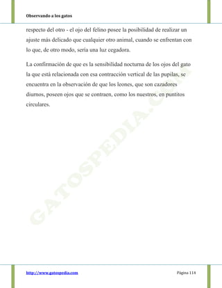 Observando a los gatos
http://www.gatospedia.com Página 114
respecto del otro - el ojo del felino posee la posibilidad de realizar un
ajuste más delicado que cualquier otro animal, cuando se enfrentan con
lo que, de otro modo, sería una luz cegadora.
La confirmación de que es la sensibilidad nocturna de los ojos del gato
la que está relacionada con esa contracción vertical de las pupilas, se
encuentra en la observación de que los leones, que son cazadores
diurnos, poseen ojos que se contraen, como los nuestros, en puntitos
circulares.
 
