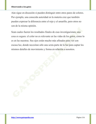 Observando a los gatos
http://www.gatospedia.com Página 116
Aún sigue en discusión si pueden distinguir entre otros pares de colores.
Por ejemplo, una conocida autoridad en la materia cree que también
pueden expresar la diferencia entre el rojo y el amarillo, pero otros no
son de la misma opinión.
Sean cuales fueren los resultados finales de esas investigaciones, una
cosa es segura: el color no es relevante en las vidas de los gatos, como lo
es en las nuestras. Sus ojos están mucho más afinados para ver con
escasa luz, donde necesitan sólo una sexta parte de la luz para captar los
mismos detalles de movimiento y forma en relación a nosotros.
 