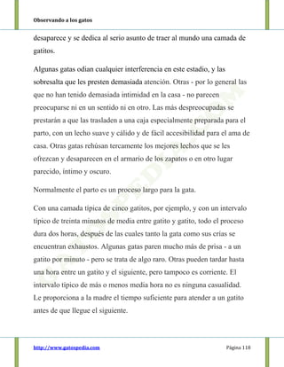 Observando a los gatos
http://www.gatospedia.com Página 118
desaparece y se dedica al serio asunto de traer al mundo una camada de
gatitos.
Algunas gatas odian cualquier interferencia en este estadio, y las
sobresalta que les presten demasiada atención. Otras - por lo general las
que no han tenido demasiada intimidad en la casa - no parecen
preocuparse ni en un sentido ni en otro. Las más despreocupadas se
prestarán a que las trasladen a una caja especialmente preparada para el
parto, con un lecho suave y cálido y de fácil accesibilidad para el ama de
casa. Otras gatas rehúsan tercamente los mejores lechos que se les
ofrezcan y desaparecen en el armario de los zapatos o en otro lugar
parecido, íntimo y oscuro.
Normalmente el parto es un proceso largo para la gata.
Con una camada típica de cinco gatitos, por ejemplo, y con un intervalo
típico de treinta minutos de media entre gatito y gatito, todo el proceso
dura dos horas, después de las cuales tanto la gata como sus crías se
encuentran exhaustos. Algunas gatas paren mucho más de prisa - a un
gatito por minuto - pero se trata de algo raro. Otras pueden tardar hasta
una hora entre un gatito y el siguiente, pero tampoco es corriente. El
intervalo típico de más o menos media hora no es ninguna casualidad.
Le proporciona a la madre el tiempo suficiente para atender a un gatito
antes de que llegue el siguiente.
 