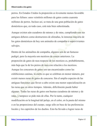 Observando a los gatos
http://www.gatospedia.com Página 12
perros. En Estados Unidos la proporción es levemente menos favorable
para los felinos: unos veintitrés millones de gatos contra cuarenta
millones de perros. Incluso así, se trata de una gran población de gatos
domésticos que, en todo caso, está más bien subestimada.
Aunque existen aún cazadores de ratones y de ratas, cumpliendo con sus
antiguos deberes como destructores de alimañas, la inmensa mayoría de
los gatos domésticos de hoy son animales de compañía o supervivientes
salvajes.
Dentro de los animalitos de compañía, algunos son de un fastuoso
pedigrí, pero la mayoría son mestizos de cruces anteriores. La
proporción de gatos de raza respecto de los mestizos es, probablemente,
más baja que la de los perros de raza con relación a los mestizos.
Aunque los concursos de gatos son tan encarnizados como las
exhibiciones caninas, lo cierto es que se celebran en menor número, por
existir menos razas de gatos de concurso. Sin el amplio espectro de las
antiguas funciones que llevar a cabo existe una menor especialización en
las razas que en otros tiempos. Además, difícilmente puede haber
algunas. Todas las razas de gatos son buenas cazadoras de ratones y de
ratas, y tampoco se pide más de ellas. Por lo tanto, cualquier
modificación en la longitud del pelaje, en el color, en la pauta del mismo
o en las proporciones del cuerpo, surge sólo en base de las preferencias
locales y los caprichos de los dueños. Esto ha llevado a lograr razas de
 