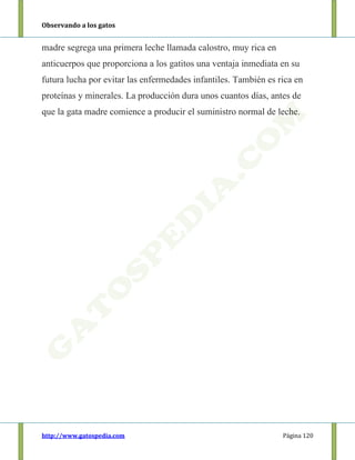 Observando a los gatos
http://www.gatospedia.com Página 120
madre segrega una primera leche llamada calostro, muy rica en
anticuerpos que proporciona a los gatitos una ventaja inmediata en su
futura lucha por evitar las enfermedades infantiles. También es rica en
proteínas y minerales. La producción dura unos cuantos días, antes de
que la gata madre comience a producir el suministro normal de leche.
 