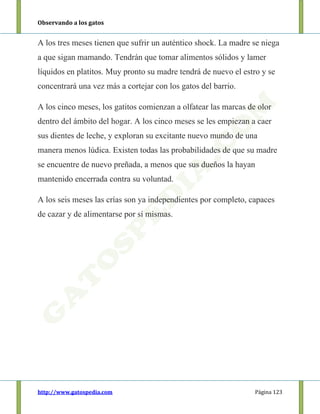 Observando a los gatos
http://www.gatospedia.com Página 123
A los tres meses tienen que sufrir un auténtico shock. La madre se niega
a que sigan mamando. Tendrán que tomar alimentos sólidos y lamer
líquidos en platitos. Muy pronto su madre tendrá de nuevo el estro y se
concentrará una vez más a cortejar con los gatos del barrio.
A los cinco meses, los gatitos comienzan a olfatear las marcas de olor
dentro del ámbito del hogar. A los cinco meses se les empiezan a caer
sus dientes de leche, y exploran su excitante nuevo mundo de una
manera menos lúdica. Existen todas las probabilidades de que su madre
se encuentre de nuevo preñada, a menos que sus dueños la hayan
mantenido encerrada contra su voluntad.
A los seis meses las crías son ya independientes por completo, capaces
de cazar y de alimentarse por sí mismas.
 