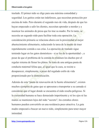 Observando a los gatos
http://www.gatospedia.com Página 126
traslado. El primer nido se elige para una máxima comodidad y
seguridad. Los gatitos están tan indefensos, que necesitan protección por
encima de todo. Pero durante el segundo mes de vida, después de que les
hayan empezado a salir los dientes, necesitan aprender a morder y a
masticar los animales de presa que les trae su madre. Por lo tanto, se
necesita un segundo nido para facilitar toda esta operación. La
consideración primaria se relaciona ahora con la proximidad al mejor
abastecimiento alimentario, reduciendo la tarea de la madre de traer
repetidamente comida a sus crías. La operación de traslado sigue
teniendo lugar en los gatos domésticos - si se les da la oportunidad -, a
pesar de que el problema de la comida lo eliminen los dueños por el
regular sistema de llenar los platos. Se trata de una antigua pauta de
conducta maternal felina que, al igual que la caza, se resiste a
desaparecer, simplemente, a pesar del regalado estilo de vida
proporcionado por la domesticación.
Además de esta “pauta de renovación de la fuente alimentaria”, existen
muchos ejemplos de gatas que se apresuran a transportar a su camada si
consideran que el lugar donde se encuentra el nido resulta peligroso. Si
la curiosidad humana se hace demasiado impertinente y ni los ojos ni las
manos se mantienen lejos del nido “secreto”, los extraños olores
humanos pueden convertirlo en una residencia poco atractiva. La gata
madre empezará a buscar un nuevo nido, simplemente para tener mayor
intimidad.
 
