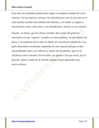 Observando a los gatos
http://www.gatospedia.com Página 127
Esta clase de traslados podrán tener lugar en cualquier estadio del ciclo
materno. En las especies salvajes, las interferencias con los jóvenes en el
nido pueden resultar una medida más drástica, y la madre se negará a
reconocerlos como crías suyas y los abandonará e incluso se los comerá.
Sucede, en efecto, que los olores extraños del cuerpo del gatito lo
convierten en una “especie” extraña; en otras palabras, en una especie de
presa, y la respuesta obvia ante un objeto así consiste en comérselo. Los
gatos domésticos raramente responden de esta manera, porque se han
acostumbrado tanto a los efluvios y olores de sus dueños, que no les
clasifican como extraños: Por lo tanto, los gatitos a los que tocan, por lo
general, siguen siendo de la familia, aunque hayan adquirido unos
nuevos olores.
 