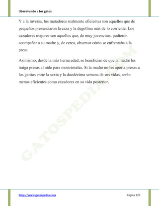 Observando a los gatos
http://www.gatospedia.com Página 129
Y a la inversa, los matadores realmente eficientes son aquellos que de
pequeños presenciaron la caza y la degollina más de lo corriente. Los
cazadores mejores son aquellos que, de muy jovencitos, pudieron
acompañar a su madre y, de cerca, observar cómo se enfrentaba a la
presa.
Asimismo, desde la más tierna edad, se benefician de que la madre les
traiga presas al nido para mostrárselas. Si la madre no les aporta presas a
los gatitos entre la sexta y la duodécima semana de sus vidas, serán
menos eficientes como cazadores en su vida posterior.
 