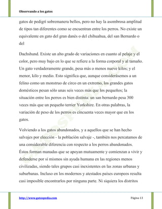 Observando a los gatos
http://www.gatospedia.com Página 13
gatos de pedigrí sobremanera bellos, pero no hay la asombrosa amplitud
de tipos tan diferentes como se encuentran entre los perros. No existe un
equivalente en gato del gran danés o del chihuahua, del san Bernardo o
del
Dachshund. Existe un alto grado de variaciones en cuanto al pelaje y el
color, pero muy bajo en lo que se refiere a la forma corporal y al tamaño.
Un gato verdaderamente grande, pesa más o menos nueve kilos; y el
menor, kilo y medio. Esto significa que, aunque considerásemos a un
felino como un monstruo de circo en un extremo, los grandes gatos
domésticos pesan sólo unas seis veces más que los pequeños; la
situación entre los perros es bien distinta: un san bernardo pesa 300
veces más que un pequeño terrier Yorkshire. En otras palabras, la
variación de peso de los perros es cincuenta veces mayor que en los
gatos.
Volviendo a los gatos abandonados, y a aquellos que se han hecho
salvajes por elección - la población salvaje -, también nos percatamos de
una considerable diferencia con respecto a los perros abandonados.
Éstos forman manadas que se apoyan mutuamente y comienzan a vivir y
defenderse por sí mismos sin ayuda humana en las regiones menos
civilizadas, siendo tales grupos casi inexistentes en las zonas urbanas y
suburbanas. Incluso en los modernos y atestados países europeos resulta
casi imposible encontrarlos por ninguna parte. Ni siquiera los distritos
 