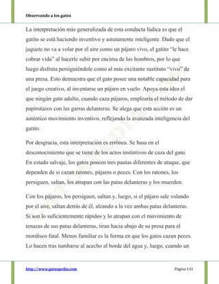 Observando a los gatos
http://www.gatospedia.com Página 131
La interpretación más generalizada de esta conducta lúdica es que el
gatito se está haciendo inventivo y astutamente inteligente. Dado que el
juguete no va a volar por el aire como un pájaro vivo, el gatito “le hace
cobrar vida” al hacerle subir por encima de los hombros, por lo que
luego disfruta persiguiéndole como al más excitante sustituto “vivo” de
una presa. Esto demuestra que el gato posee una notable capacidad para
el juego creativo, al inventarse un pájaro en vuelo. Apoya esta idea el
que ningún gato adulto, cuando caza pájaros, emplearía el método de dar
papirotazos con las garras delanteras. Se alega que esta acción es un
auténtico movimiento inventivo, reflejando la avanzada inteligencia del
gatito.
Por desgracia, esta interpretación es errónea. Se basa en el
desconocimiento que se tiene de los actos instintivos de caza del gato.
En estado salvaje, los gatos poseen tres pautas diferentes de ataque, que
dependen de si cazan ratones, pájaros o peces. Con los ratones, los
persiguen, saltan, los atrapan con las patas delanteras y los muerden.
Con los pájaros, los persiguen, saltan y, luego, si el pájaro sale volando
por el aire, saltan detrás de él, alzando a la vez ambas patas delanteras.
Si son lo suficientemente rápidos y lo atrapan con el movimiento de
tenazas de sus patas delanteras, tiran hacia abajo de su presa para el
mordisco fatal. Menos familiar es la forma en que los gatos cazan peces.
Lo hacen tras tumbarse al acecho al borde del agua y, luego, cuando un
 