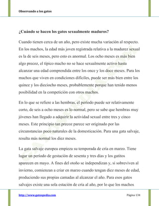 Observando a los gatos
http://www.gatospedia.com Página 134
¿Cuándo se hacen los gatos sexualmente maduros?
Cuando tienen cerca de un año, pero existe mucha variación al respecto.
En los machos, la edad más joven registrada relativa a la madurez sexual
es la de seis meses, pero esto es anormal. Los ocho meses es más bien
algo precoz, el típico macho no se hace sexualmente activo hasta
alcanzar una edad comprendida entre los once y los doce meses. Para los
machos que viven en condiciones difíciles, puede ser más bien entre los
quince y los dieciocho meses, probablemente porque han tenido menos
posibilidad en la competición con otros machos.
En lo que se refiere a las hembras, el período puede ser relativamente
corto, de seis a ocho meses es lo normal, pero se sabe que hembras muy
jóvenes han llegado a adquirir la actividad sexual entre tres y cinco
meses. Este principio tan precoz parece ser originado por las
circunstancias poco naturales de la domesticación. Para una gata salvaje,
resulta más normal los diez meses.
La gata salvaje europea empieza su temporada de cría en marzo. Tiene
lugar un período de gestación de sesenta y tres días y los gatitos
aparecen en mayo. A fines del otoño se independizan y, si sobreviven al
invierno, comienzan a criar en marzo cuando tengan diez meses de edad,
produciendo sus propias camadas al alcanzar el año. Para esos gatos
salvajes existe una sola estación de cría al año, por lo que los machos
 