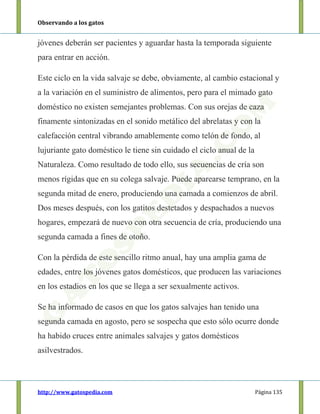 Observando a los gatos
http://www.gatospedia.com Página 135
jóvenes deberán ser pacientes y aguardar hasta la temporada siguiente
para entrar en acción.
Este ciclo en la vida salvaje se debe, obviamente, al cambio estacional y
a la variación en el suministro de alimentos, pero para el mimado gato
doméstico no existen semejantes problemas. Con sus orejas de caza
finamente sintonizadas en el sonido metálico del abrelatas y con la
calefacción central vibrando amablemente como telón de fondo, al
lujuriante gato doméstico le tiene sin cuidado el ciclo anual de la
Naturaleza. Como resultado de todo ello, sus secuencias de cría son
menos rígidas que en su colega salvaje. Puede aparearse temprano, en la
segunda mitad de enero, produciendo una camada a comienzos de abril.
Dos meses después, con los gatitos destetados y despachados a nuevos
hogares, empezará de nuevo con otra secuencia de cría, produciendo una
segunda camada a fines de otoño.
Con la pérdida de este sencillo ritmo anual, hay una amplia gama de
edades, entre los jóvenes gatos domésticos, que producen las variaciones
en los estadios en los que se llega a ser sexualmente activos.
Se ha informado de casos en que los gatos salvajes han tenido una
segunda camada en agosto, pero se sospecha que esto sólo ocurre donde
ha habido cruces entre animales salvajes y gatos domésticos
asilvestrados.
 