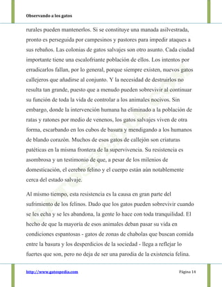 Observando a los gatos
http://www.gatospedia.com Página 14
rurales pueden mantenerlos. Si se constituye una manada asilvestrada,
pronto es perseguida por campesinos y pastores para impedir ataques a
sus rebaños. Las colonias de gatos salvajes son otro asunto. Cada ciudad
importante tiene una escalofriante población de ellos. Los intentos por
erradicarlos fallan, por lo general, porque siempre existen, nuevos gatos
callejeros que añadirse al conjunto. Y la necesidad de destruirlos no
resulta tan grande, puesto que a menudo pueden sobrevivir al continuar
su función de toda la vida de controlar a los animales nocivos. Sin
embargo, donde la intervención humana ha eliminado a la población de
ratas y ratones por medio de venenos, los gatos salvajes viven de otra
forma, escarbando en los cubos de basura y mendigando a los humanos
de blando corazón. Muchos de esos gatos de callejón son criaturas
patéticas en la misma frontera de la supervivencia. Su resistencia es
asombrosa y un testimonio de que, a pesar de los milenios de
domesticación, el cerebro felino y el cuerpo están aún notablemente
cerca del estado salvaje.
Al mismo tiempo, esta resistencia es la causa en gran parte del
sufrimiento de los felinos. Dado que los gatos pueden sobrevivir cuando
se les echa y se les abandona, la gente lo hace con toda tranquilidad. El
hecho de que la mayoría de esos animales deban pasar su vida en
condiciones espantosas - gatos de zonas de chabolas que buscan comida
entre la basura y los desperdicios de la sociedad - llega a reflejar lo
fuertes que son, pero no deja de ser una parodia de la existencia felina.
 