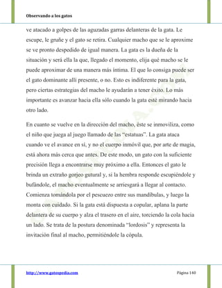 Observando a los gatos
http://www.gatospedia.com Página 140
ve atacado a golpes de las aguzadas garras delanteras de la gata. Le
escupe, le gruñe y el gato se retira. Cualquier macho que se le aproxime
se ve pronto despedido de igual manera. La gata es la dueña de la
situación y será ella la que, llegado el momento, elija qué macho se le
puede aproximar de una manera más íntima. El que lo consiga puede ser
el gato dominante allí presente, o no. Esto es indiferente para la gata,
pero ciertas estrategias del macho le ayudarán a tener éxito. Lo más
importante es avanzar hacia ella sólo cuando la gata esté mirando hacia
otro lado.
En cuanto se vuelve en la dirección del macho, éste se inmoviliza, como
el niño que juega al juego llamado de las “estatuas”. La gata ataca
cuando ve el avance en sí, y no el cuerpo inmóvil que, por arte de magia,
está ahora más cerca que antes. De este modo, un gato con la suficiente
precisión llega a encontrarse muy próximo a ella. Entonces el gato le
brinda un extraño gorjeo gutural y, si la hembra responde escupiéndole y
bufándole, el macho eventualmente se arriesgará a llegar al contacto.
Comienza tomándola por el pescuezo entre sus mandíbulas, y luego la
monta con cuidado. Si la gata está dispuesta a copular, aplana la parte
delantera de su cuerpo y alza el trasero en el aire, torciendo la cola hacia
un lado. Se trata de la postura denominada “lordosis” y representa la
invitación final al macho, permitiéndole la cópula.
 