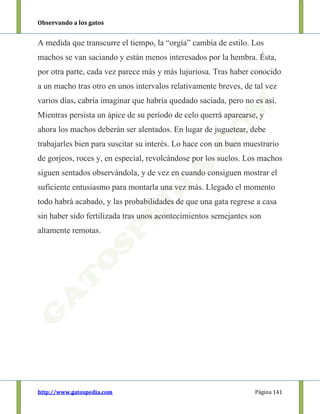 Observando a los gatos
http://www.gatospedia.com Página 141
A medida que transcurre el tiempo, la “orgía” cambia de estilo. Los
machos se van saciando y están menos interesados por la hembra. Ésta,
por otra parte, cada vez parece más y más lujuriosa. Tras haber conocido
a un macho tras otro en unos intervalos relativamente breves, de tal vez
varios días, cabría imaginar que habría quedado saciada, pero no es así.
Mientras persista un ápice de su período de celo querrá aparearse, y
ahora los machos deberán ser alentados. En lugar de juguetear, debe
trabajarles bien para suscitar su interés. Lo hace con un buen muestrario
de gorjeos, roces y, en especial, revolcándose por los suelos. Los machos
siguen sentados observándola, y de vez en cuando consiguen mostrar el
suficiente entusiasmo para montarla una vez más. Llegado el momento
todo habrá acabado, y las probabilidades de que una gata regrese a casa
sin haber sido fertilizada tras unos acontecimientos semejantes son
altamente remotas.
 