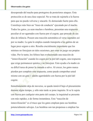 Observando a los gatos
http://www.gatospedia.com Página 143
desesperado del macho para protegerse de posteriores ataques. Esta
protección es de una clase especial. No se trata de sujetarla a la fuerza
para que no pueda volverse y atacarle. Es demasiado fuerte para ello.
Constituye más bien un “truco de conducta” ejecutado por el macho.
Todos los gatos, ya sean machos o hembras, presentan una respuesta
peculiar al ser agarrados con fuerza por el cogote, que procede de sus
días de infancia. Poseen una reacción automática al verse sujetados así
por su madre. La gata lo emplea cuando transporta a los gatitos de un
lugar poco seguro a otro. Resulta crucialmente importante que los
mininos no forcejeen en tales ocasiones, por estar en juego sus propias
vidas. Por lo tanto, los felinos han evolucionado una reacción de
“inmovilización” cuando les cogen por la piel del cogote, una respuesta
que exige permanecer quietos y no forcejear. Esto ayuda a la madre en
su difícil tarea de poner la camada a salvo. Al crecer, los gatos nunca
pierden por completo esta respuesta, como puede comprobar usted
mismo con un gato 1 adulto agarrándolo con fuerza por la piel del
cogote.
Inmediatamente deja de moverse, se queda inmóvil bajo el pinzamiento
durante algún tiempo, y sólo más tarde se pone inquieto. Si se le sujeta
con fuerza por cualquier otra parte del cuerpo, la inquietud se presenta
con más rapidez, o de forma instantánea. Esta “reacción de
inmovilización” es el truco que los gatos emplean para sus hembras
potencialmente salvajes. Las hembras son tan propensas a emplear las
 