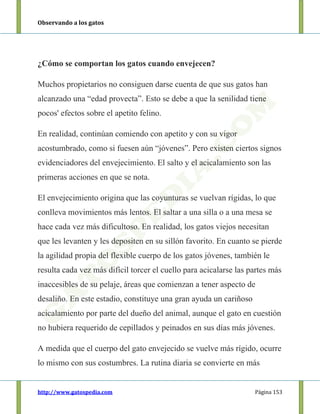 Observando a los gatos
http://www.gatospedia.com Página 153
¿Cómo se comportan los gatos cuando envejecen?
Muchos propietarios no consiguen darse cuenta de que sus gatos han
alcanzado una “edad provecta”. Esto se debe a que la senilidad tiene
pocos' efectos sobre el apetito felino.
En realidad, continúan comiendo con apetito y con su vigor
acostumbrado, como si fuesen aún “jóvenes”. Pero existen ciertos signos
evidenciadores del envejecimiento. El salto y el acicalamiento son las
primeras acciones en que se nota.
El envejecimiento origina que las coyunturas se vuelvan rígidas, lo que
conlleva movimientos más lentos. El saltar a una silla o a una mesa se
hace cada vez más dificultoso. En realidad, los gatos viejos necesitan
que les levanten y les depositen en su sillón favorito. En cuanto se pierde
la agilidad propia del flexible cuerpo de los gatos jóvenes, también le
resulta cada vez más difícil torcer el cuello para acicalarse las partes más
inaccesibles de su pelaje, áreas que comienzan a tener aspecto de
desaliño. En este estadio, constituye una gran ayuda un cariñoso
acicalamiento por parte del dueño del animal, aunque el gato en cuestión
no hubiera requerido de cepillados y peinados en sus días más jóvenes.
A medida que el cuerpo del gato envejecido se vuelve más rígido, ocurre
lo mismo con sus costumbres. La rutina diaria se convierte en más
 