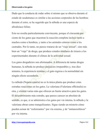 Observando a los gatos
http://www.gatospedia.com Página 162
Dado que la conducta de rodar sobre sí mismo que se observa durante el
estado de seudotrance es similar a las acciones corporales de las hembras
durante el estro, se ha sugerido que la nébeda es una especie de
afrodisíaco felino.
Esto no resulta particularmente convincente, porque el cincuenta por
ciento de los gatos que muestran la reacción completa incluye tanto a
machos como a hembras, y tanto a los animales enteros como a los
castrados. Por lo tanto, no parece tratarse de un “viaje sexual”, sino más
bien un “viaje” de droga, que produce estados similares de éxtasis a los
experimentados durante el clímax de la actividad sexual.
Los gatos drogadictos son afortunados. A diferencia de tantas drogas
humanas, la nébeda no produce perjuicios irreparables y, tras diez
minutos, la experiencia termina y el gato regresa a la normalidad sin
ningún efecto secundario.
La nébeda (Nepeta cataria) no es la única planta que produce estas
extrañas reacciones en los gatos. La valeriana (Valeriana officinalis) es
otra, y existen varias más que ofrecen un fuerte atractivo para los gatos.
El descubrimiento más extraño, que parece carecer en absoluto de
sentido, es que, si se administra a los gatos por vía interna, la nébeda y la
valeriana obran como tranquilizantes. Sigue siendo un misterio cómo
pueden actuar de “euforizantes” por vía externa, y de “antiansiolíticos”
por vía interna.
 