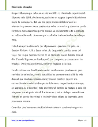 Observando a los gatos
http://www.gatospedia.com Página 165
Sospechábamos que debía de existir un fallo en el método experimental.
El punto más débil, obviamente, radicaba en aceptar la posibilidad de un
mapa de la memoria. Tal vez los gatos podían sintetizar con las
tolerancias y correcciones pertinentes todas las vueltas y revueltas que la
furgoneta había realizado por la ciudad, ya que durante toda la jornada
no habían efectuado otra cosa que recalcular la dirección hacia su hogar
base.
Esta duda quedó eliminada por algunas otras pruebas con gatos en
Estados Unidos. Allí, a éstos se les dio droga en la comida antes del
viaje, por lo que permanecieron en un profundo sueño durante todo el
día. Cuando llegaron, se les despertó por completo, y comenzaron las
pruebas. De forma asombrosa, supieron regresar a su casa.
Desde entonces se han llevado a cabo muchas otras pruebas con gran
variedad de animales, y en la actualidad se encuentra más allá de toda
duda el que muchas especies, incluyendo al hombre, poseen una
extraordinaria sensibilidad respecto del campo magnético terrestre que
les capacita (y a nosotros) para encontrar el camino de regreso a casa sin
ninguna clase de pista visual. La técnica experimental que lo confirmó
fue una en que se les colocó a los individuos objeto de la prueba unos
poderosos imanes.
Con ellos perdieron su capacidad de encontrar el camino de regreso a
casa.
 