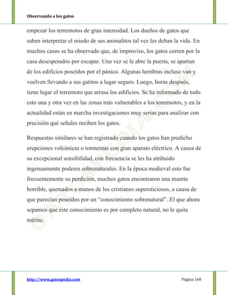 Observando a los gatos
http://www.gatospedia.com Página 168
empezar los terremotos de gran intensidad. Los dueños de gatos que
saben interpretar el miedo de sus animalitos tal vez les deban la vida. En
muchos casos se ha observado que, de improviso, los gatos corren por la
casa desesperados por escapar. Una vez se le abre la puerta, se apartan
de los edificios poseídos por el pánico. Algunas hembras incluso van y
vuelven llevando a sus gatitos a lugar seguro. Luego, horas después,
tiene lugar el terremoto que arrasa los edificios. Se ha informado de todo
esto una y otra vez en las zonas más vulnerables a los terremotos, y en la
actualidad están en marcha investigaciones muy serias para analizar con
precisión qué señales reciben los gatos.
Respuestas similares se han registrado cuando los gatos han predicho
erupciones volcánicas o tormentas con gran aparato eléctrico. A causa de
su excepcional sensibilidad, con frecuencia se les ha atribuido
ingenuamente poderes sobrenaturales. En la época medieval esto fue
frecuentemente su perdición, muchos gatos encontraron una muerte
horrible, quemados a manos de los cristianos supersticiosos, a causa de
que parecían poseídos por un “conocimiento sobrenatural”..El que ahora
sepamos que este conocimiento es por completo natural, no le quita
mérito.
 