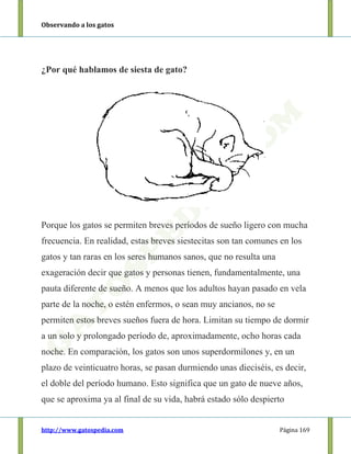 Observando a los gatos
http://www.gatospedia.com Página 169
¿Por qué hablamos de siesta de gato?
Porque los gatos se permiten breves períodos de sueño ligero con mucha
frecuencia. En realidad, estas breves siestecitas son tan comunes en los
gatos y tan raras en los seres humanos sanos, que no resulta una
exageración decir que gatos y personas tienen, fundamentalmente, una
pauta diferente de sueño. A menos que los adultos hayan pasado en vela
parte de la noche, o estén enfermos, o sean muy ancianos, no se
permiten estos breves sueños fuera de hora. Limitan su tiempo de dormir
a un solo y prolongado período de, aproximadamente, ocho horas cada
noche. En comparación, los gatos son unos superdormilones y, en un
plazo de veinticuatro horas, se pasan durmiendo unas dieciséis, es decir,
el doble del período humano. Esto significa que un gato de nueve años,
que se aproxima ya al final de su vida, habrá estado sólo despierto
 