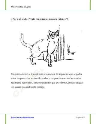 Observando a los gatos
http://www.gatospedia.com Página 177
¿Por qué se dice “gato con guantes no caza ratones"?
Originariamente se trató de una referencia a lo impotente que se podía
estar sin poseer las armas adecuadas, o no poner en acción los medios
realmente necesarios, aunque tengamos que excedernos, porque un gato
sin garras está realmente perdido.
 