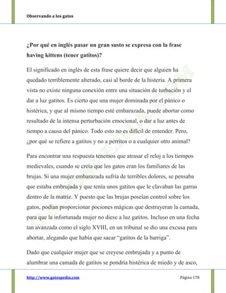 Observando a los gatos
http://www.gatospedia.com Página 178
¿Por qué en inglés pasar un gran susto se expresa con la frase
having kittens (tener gatitos)?
El significado en inglés de esta frase quiere decir que alguien ha
quedado terriblemente alterado, casi al borde de la histeria. A primera
vista no existe ninguna conexión entre una situación de turbación y el
dar a luz gatitos. Es cierto que una mujer dominada por el pánico o
histérica, y que al mismo tiempo esté embarazada, puede abortar como
resultado de la intensa perturbación emocional, o dar a luz antes de
tiempo a causa del pánico. Todo esto no es difícil de entender. Pero,
¿por qué se refiere a gatitos y no a perritos o a cualquier otro animal?
Para encontrar una respuesta tenemos que atrasar el reloj a los tiempos
medievales, cuando se creía que los gatos eran los familiares de las
brujas. Si una mujer embarazada sufría de terribles dolores, se pensaba
que estaba embrujada y que tenía unos gatitos que le clavaban las garras
dentro de la matriz. Y puesto que las brujas poseían control sobre los
gatos, podían proporcionar pociones mágicas que destruyeran la camada,
para que la infortunada mujer no diese a luz gatitos. Incluso en una fecha
tan avanzada como el siglo XVIII, en un tribunal se dio una excusa para
abortar, alegando que había que sacar “gatitos de la barriga”.
Dado que cualquier mujer que se creyese embrujada y a punto de
alumbrar una camada de gatitos se pondría histérica de miedo y de asco,
 