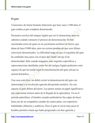 Observando a los gatos
http://www.gatospedia.com Página 18
El gato
Conocemos de forma bastante fehaciente que hace unos 3.500 años el
gato estaba ya por completo domesticado.
Poseemos escritos del antiguo Egipto que así lo demuestran, pero no
sabemos cuándo comenzó el proceso de domesticación. Se han
encontrado restos de gatos en un yacimiento neolítico en Jericó, que
datan de hace 9.000 años, pero no existen pruebas de que esos felinos
estuviesen domesticados. La dificultad surge de que el esqueleto del gato
ha cambiado muy poco con el paso del estado salvaje al de
domesticidad. Sólo cuando tengamos unos registros específicos y
representaciones detalladas como los del antiguo Egipto podremos estar
seguros de que ha tenido lugar la transformación del gato salvaje en
animal doméstico.
Una cosa está clara: no debió existir la domesticación del gato con
anterioridad a la revolución agrícola del período neolítico. En este
aspecto el gato difiere del perro. Los perros tenían un papel significativo
que representar incluso antes de la llegada de la agricultura. Ya en el
período paleolítico, el hombre cazador prehistórico fue capaz de hacer
buen uso de un compañero cazador de cuatro patas, con superiores
habilidades olfatorias y auditivas, Pero el gato le sirvió muy poco al
hombre primitivo hasta que hubo progresado a la fase agrícola y
 