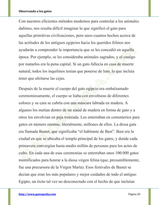 Observando a los gatos
http://www.gatospedia.com Página 20
Con nuestros eficientes métodos modernos para controlar a los animales
dañinos, nos resulta difícil imaginar lo que significó el gato para
aquellas primitivas civilizaciones, pero unos cuantos hechos acerca de
las actitudes de los antiguos egipcios hacia los queridos felinos nos
ayudarán a comprender la importancia que se les concedió en aquella
época. Por ejemplo, se les consideraba animales sagrados, y el castigo
por matarlos era la pena capital. Si un gato fallecía en casa de muerte
natural, todos los inquilinos tenían que ponerse de luto, lo que incluía
tener que afeitarse las cejas.
Después de la muerte el cuerpo del gato egipcio era embalsamado
ceremoniosamente, el cuerpo se liaba con envolturas de diferentes
colores y su cara se cubría con una máscara labrada en madera. A
algunos los metían dentro de un ataúd de madera en forma de gato y a
otros los envolvían en paja trenzada. Los enterraban en cementerios para
gatos en número enorme, literalmente, millones de ellos. La diosa gata
era llamada Bastet, que significaba “el habitante de Bast”. Bast era la
ciudad en que se ubicaba el templo principal de los gatos, y donde cada
primavera convergían hasta medio millón de personas para los actos de
culto. En cada una de esas ceremonias se enterraban unos 100.000 gatos
momificados para honrar a la diosa virgen felina (que, presumiblemente,
fue una precursora de la Virgen María). Esos festivales de Bastet se
decían que eran los más populares y mejor cuidados de todo el antiguo
Egipto, un éxito tal vez no desconectado con el hecho de que incluían
 