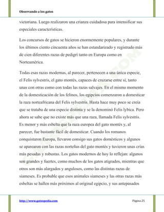 Observando a los gatos
http://www.gatospedia.com Página 25
victoriana. Luego realizaron una crianza cuidadosa para intensificar sus
especiales características.
Los concursos de gatos se hicieron enormemente populares, y durante
los últimos ciento cincuenta años se han estandarizado y registrado más
de cien diferentes razas de pedigrí tanto en Europa como en
Norteamérica.
Todas esas razas modernas, al parecer, pertenecen a una única especie,
el Felis sylvestris, el gato montés, capaces de cruzarse entre sí, tanto
unas con otras como con todas las razas salvajes. En el mismo momento
de la domesticación de los felinos, los egipcios comenzaron a domesticar
la raza norteafricana del Felis sylvestris. Hasta hace muy poco se creía
que se trataba de una especie distinta y se la denominó Felis lybica. Pero
ahora se sabe que no existe más que una raza, llamada Felis sylvestris.
Es menor y más esbelta que la raza europea del gato montés y, al
parecer, fue bastante fácil de domesticar. Cuando los romanos
conquistaron Europa, llevaron consigo sus gatos domésticos y algunos
se aparearon con las razas norteñas del gato montés y tuvieron unas crías
más pesadas y robustas. Los gatos modernos de hoy lo reflejan: algunos
son grandes y fuertes, como muchos de los gatos atigrados, mientras que
otros son más alargados y angulosos, como las distintas razas de
siameses. Es probable que esos animales siameses y las otras razas más
esbeltas se hallen más próximos al original egipcio, y sus antepasados
 